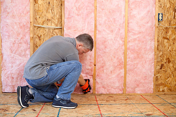 Types of Insulation We Offer in Odem, TX